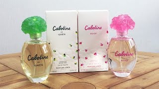 Gres Cabotine Perfume Spray 8211 Marys Mart [upl. by Gusella]