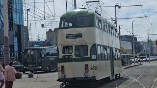 Trams along the Blackpool Seafront 100824 [upl. by Nalak]