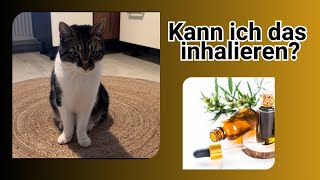 Wenn Katzen High und total auf Baldrian sind 😵‍💫 Katzen und Baldrian [upl. by Airdua660]