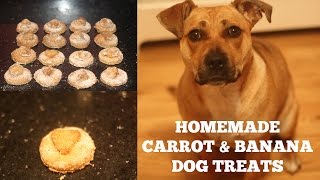 HOMEMADE DOG TREATS  CARROT amp BANANA  StaffieGirlLola [upl. by Lleruj]