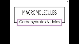 Macromolecules Carbohydrate and Lipid Video Lecture [upl. by Mairem889]