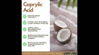 Caprylic Acid Benefits for Gut Health Candida and Immunity shorts [upl. by Nitsyrk738]