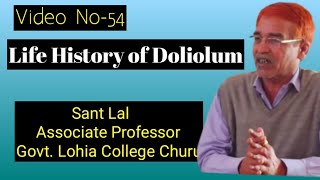 Life History Of Doliolum II MSc Final PaperVVideo No54 II [upl. by Amehsat]