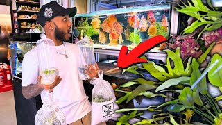 Buying Plants from Fish Planet London [upl. by Ahsilahs294]