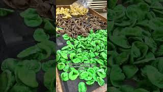 Italian nonnas making fresh pasta in Bari [upl. by Emolas]