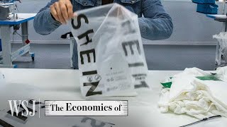 How Shein Built a 66B FastFashion Empire  WSJ The Economics Of [upl. by Mossolb309]