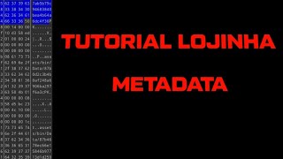 TUTORIAL DE COMO FAZER LOJINHA INVISÍVEL NA METADATA DO FREE FIRE NO ANDROID E NO IOS 😱🔥 [upl. by Agrippina]