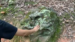 Hiking Crowders Mountain in August on Spores [upl. by Keiryt8]