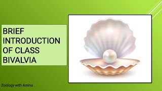 Introduction of class Bivalvia Shell and associated structures of class Bivalvia Wild pearl making [upl. by Salesin507]