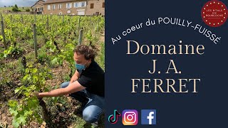 Au coeur du POUILLYFUISSÉ  Domaine J A FERRET [upl. by Geiger]