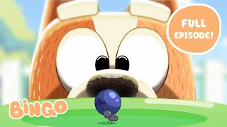 Bingo 🧡 FULL EPISODE  Bluey Series 2  Bingo  Official Channel [upl. by Noevad]