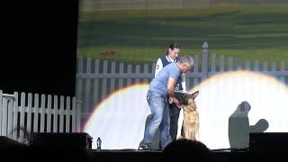 cesar millan live in ahoy quotgerman sheppardquot [upl. by Rattray748]