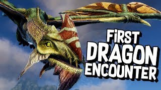 DRAGON FIGHTING A KANGAROO  Dark and Light Gameplay [upl. by Damiani]