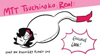 MettatonTsuchinoko REAL Nature Documentary [upl. by Avon]