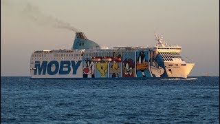 4K  Ferry MOBY WONDER with beautiful Cartoon Livery arrival Port Livorno  Italy [upl. by Cleres]