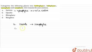 Categorise the following plants into hydrophytes halophytes mesophytes and xerophytes [upl. by Terrel]