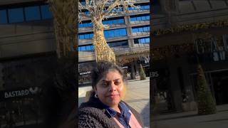 Sweden ലെ ഒരു mallറെയ്ൻഡീർ നെ കണ്ടോ mall sweden stockholm malayalam shopping trending mallu [upl. by Lladnarc749]