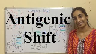 Antigenic Shift  Antigenic Shift in Influenza Virus  Science Land [upl. by Lleynad596]