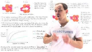 Cooperativity and Allosteric Effectors of ATCase [upl. by Torto85]