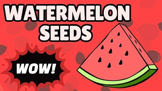 Watermelon Seeds  6 Amazing Health Benefits [upl. by Rennoc]