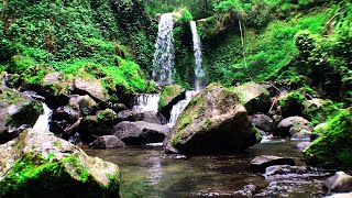 Relaxing River Sounds  Waterfall White Noise Flowing Water and Forest Creek Ambience [upl. by Carlotta]