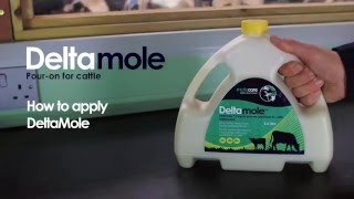 How To Apply Deltamole  Deltamethrin Pour On for Cattle from Molecare  Mole Valley Farmers [upl. by Ahtanaram]