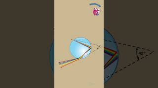 Unveiling the Magic of Rainbows Primary and Secondary Arcs rainbow science explanation [upl. by Hallutama]