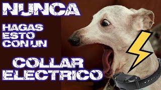 ⚡️NUNCA hagas esto con un collar eléctrico de impulsos para perros⚡️ [upl. by Drahnreb]