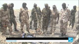 NIGERIA  Boko Haram attack on Borno State takes 30 lives [upl. by Eihtak]