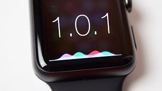 Watch OS 101 Siri Improvements amp More [upl. by Melac]