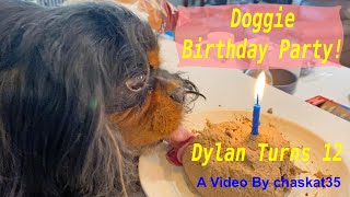 Doggie Birthday Party Dylan Turns 12 [upl. by Zahc]