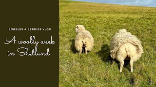 The Bobbles amp Berries Podcast · Vlog 1  A week in Shetland during Shetland Wool Week [upl. by Aehta]