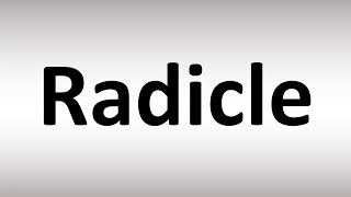 How to Pronounce Radicle [upl. by Anelagna55]