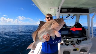 Top 3 BEST Saltwater Grouper Fishing Rigs for DeadLive Bait Offshore Bottom Fishing [upl. by Katine]