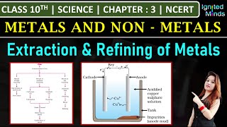 Class 10th Science  Extraction and Refining of Metals  Chapter 3 Metals and NonMetals [upl. by Zoe]