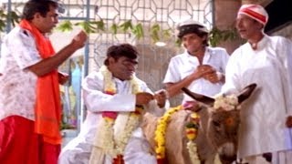 Back To Back Comedy Scenes Part  02  Evandi Aavida Vachindi Movie [upl. by Hamburger397]