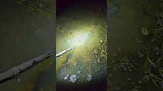 Night Fishing  Traditional Fishing 🌻 part49 fishing nightfishing shorts shortsfeed bigfish [upl. by Leivad]