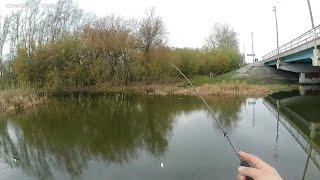 Покидушки со Спиннингом Fish Season Fario NT MormS 180m052gr FNTM602XULS23 [upl. by Ayikur]