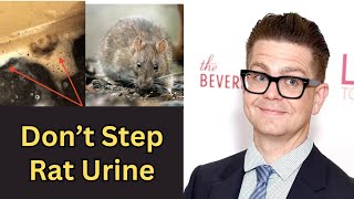 Jack Osbourne Says He Nearly Died After Stepping in Rat Pee and Contracting LifeThreatening Disease [upl. by Acinorej]