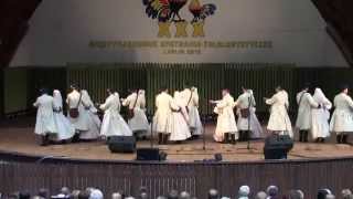 Tańce biłgorajskie  ZTL UMCS  XXX International Folklore Meeting Lublin 2015  11072015 [upl. by Ecinuahs]