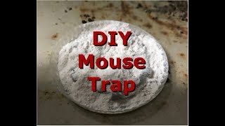 How to get rid of rats and mice in home for less than 100 [upl. by Mongeau]