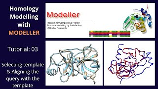 Homology Modelling  Tutorial 3 of 5  Modeller [upl. by Rehpotsirh]