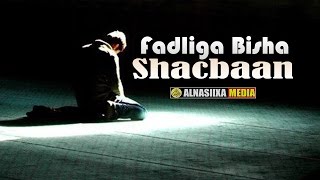 FADLIGA BISHA SHACBAAN ᴴᴰ┇Alnasiixa Media 🎥 [upl. by Rollins]