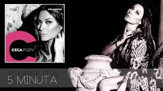 Ceca  5 minuta  Audio 2013 HD [upl. by Landing]