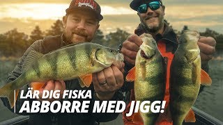 Lär dig fiska abborre med jigg  Sportfiskeprylarse [upl. by Anihpled477]