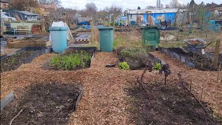 UK Allotment Plot  March 2024 Update [upl. by Eerahc237]