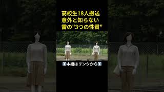 ⬆️本編はリンクから⬆️高い木の下への避難は安全？実験映像でよくわかる『雷の特徴』 身に着けた金属の有無と危険性とは無関係 [upl. by Paymar]