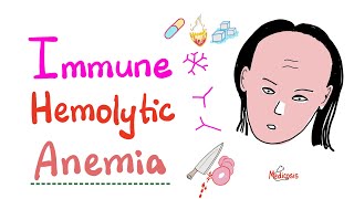 Immune Hemolytic Anemia intro [upl. by Jurdi]