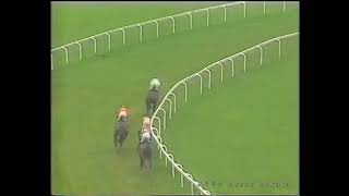 1994 Cooper amp Lybrand Ascot Hurdle [upl. by Naahsar185]