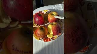 Apples in Kentucky Aztec Fuji Wine Crisp Stayman Winesap and Crimson Crisp [upl. by Kragh583]